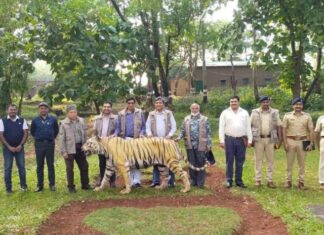 सह्याद्री व्याघ्र प्रकल्पाचा “व्हेरी गुड ” श्रेणीत समावेश