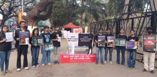 दूध आणि बीफ उद्योगातील दुवा उघड : पुण्यात तरुणांचे प्रभावी आंदोलन