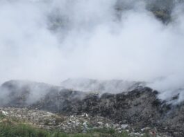 लोणी काळभोर येथील मुळा-मुठा नदीपात्रातील कचऱ्याला भीषण आग