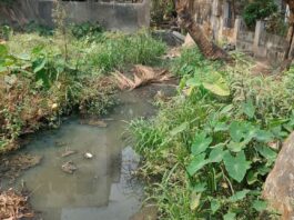 बाणेर परिसरातील मित्रनगर कॉलनीत नाल्यात मैला व रासायनिक पाणी सोडल्याचा आरोप; कारवाईची मागणी