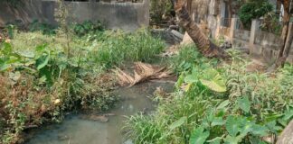 बाणेर परिसरातील मित्रनगर कॉलनीत नाल्यात मैला व रासायनिक पाणी सोडल्याचा आरोप; कारवाईची मागणी