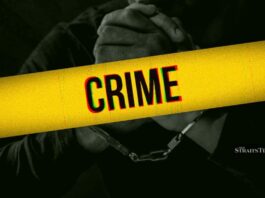 म्हाळुंगे परिसरात हायड्रोपोनिक गांजाची विक्री करणारे दोन तरुण अटकेत; ६.५ लाखांचा मुद्देमाल जप्त