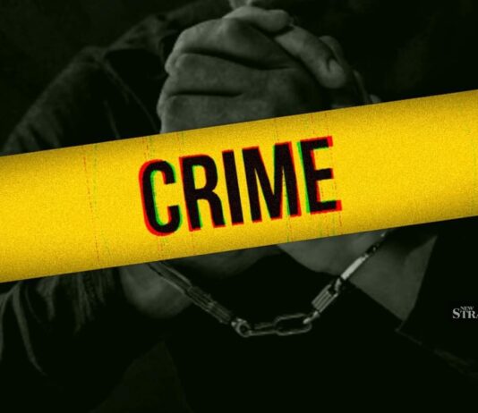 म्हाळुंगे परिसरात हायड्रोपोनिक गांजाची विक्री करणारे दोन तरुण अटकेत; ६.५ लाखांचा मुद्देमाल जप्त