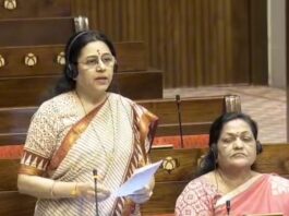 देशातील वाढत्या रस्ते अपघातांकडे गांभीर्याने लक्ष द्यावे – प्रा. डॉ. मेधा कुलकर्णी यांची संसदेत मागणी; महामार्गालगत दारूच्या दुकानांना परवानगी देऊ नये