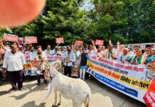 इंधन दरवाढी विरोधात पुण्यात काँग्रेसचे आंदोलन