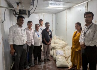 अन्न व औषध प्रशासनाची पुणे विभागात धडक कारवाई; १३.७१ लाखांचा मुद्देमाल जप्त