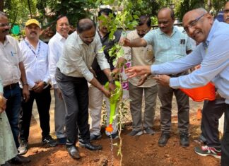 हरित पुणे, समृद्ध पुणे मोहिमेचा शुभारंभ; ५ रुपयांत स्थानिक वृक्षांची रोपे उपलब्ध
