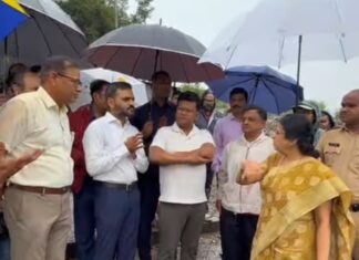 वृक्षतोडीला स्थगिती; नदी सुधार योजनेसाठी पर्यायी आराखडा तयार होणार ; खासदार मेधा कुलकर्णी यांची पाहणी