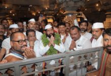 उपमुख्यमंत्री एकनाथ शिंदे यांनी घेतले श्री विठ्ठल-रुक्मिणी मातेचे मुखदर्शन