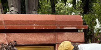 संसद भवन परिसरात खासदार चंद्रशेखर आझाद यांचे धरणे; विद्यार्थ्यांच्या मागण्यांसाठी ठिय्या, खासदार ओवैसी यांनी घेतली भेट