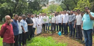 ईद-ए-मिलादुन्नबी निमित्त बोपोडीत वृक्षारोपण