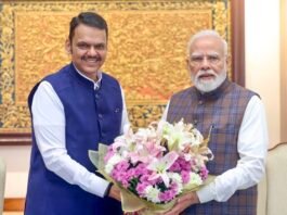 मुख्यमंत्री देवेंद्र फडणवीस यांनी घेतली प्रधानमंत्री नरेंद्र मोदींसह केंद्रीय मंत्र्यांची भेट