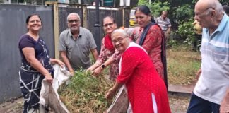 ज्येष्ठ नागरिकांनी घडविला आदर्श; निरामय हास्ययोग क्लबच्या वतीने स्मार्ट सिटी गार्डनची स्वच्छता
