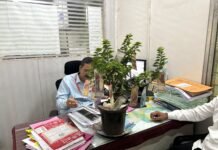 ५२ झाडांच्या कत्तलीप्रकरणी ‘आप’ युवा आघाडी आक्रमक; अधिकाऱ्यांना ‘पैशांचे झाड’ भेट