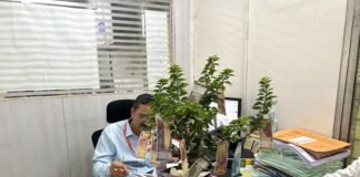५२ झाडांच्या कत्तलीप्रकरणी ‘आप’ युवा आघाडी आक्रमक; अधिकाऱ्यांना ‘पैशांचे झाड’ भेट