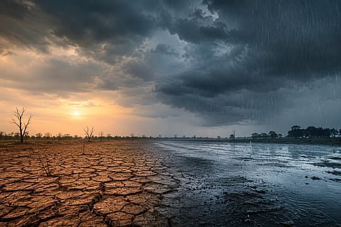अल निनोचा प्रभाव महाराष्ट्रात पावसाची सरासरी ४४ टक्के तूट