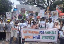 गांधी जयंतीनिमित्त पुण्यात १७ किलोमीटर ‘सत्याग्रह मार्च’; प्राणीमुक्ती आणि वनस्पतीआधारित आहाराचा संदेश