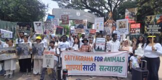 गांधी जयंतीनिमित्त पुण्यात १७ किलोमीटर ‘सत्याग्रह मार्च’; प्राणीमुक्ती आणि वनस्पतीआधारित आहाराचा संदेश