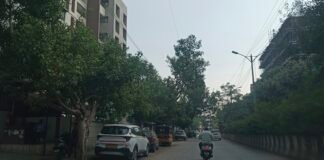 पाषाण-सुतारवाडी लिंक रोडवरील वीजवाहिन्या भूमिगत करा; पर्यावरणप्रेमी नागरिकांची मागणी