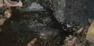 पाषाण रोडवर हजारो लिटर पिण्याच्या पाण्याची गळती; मनसेची कारवाईची मागणी