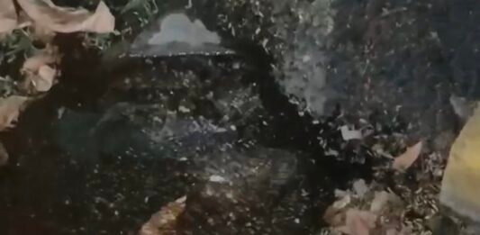 पाषाण रोडवर हजारो लिटर पिण्याच्या पाण्याची गळती; मनसेची कारवाईची मागणी